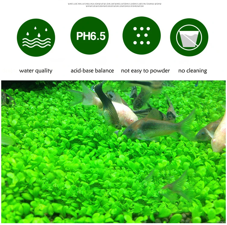 Fish Tank Water Grass Mud Plan - Marine Aquarium Gravel review and price