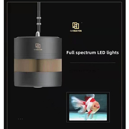 Light Emitting Diode 3D Hot Sa - Aquarium Marine Fish For Sale review and price