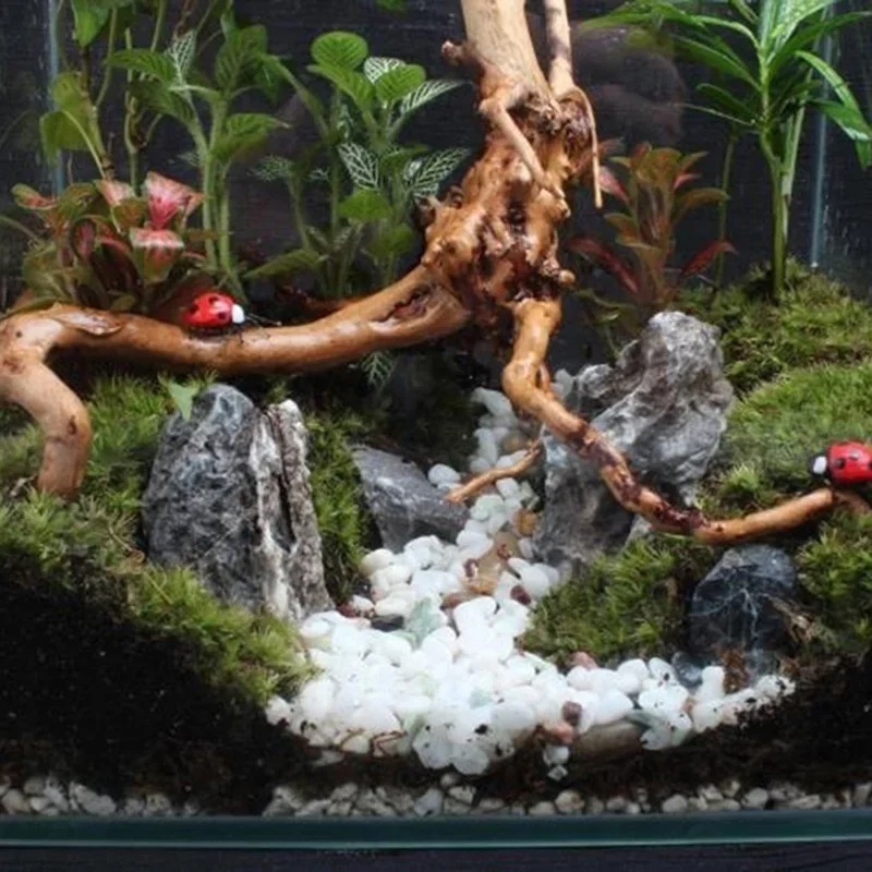 Natural Tree Trunk Driftwood A - Marine Aquarium Gravel review and price