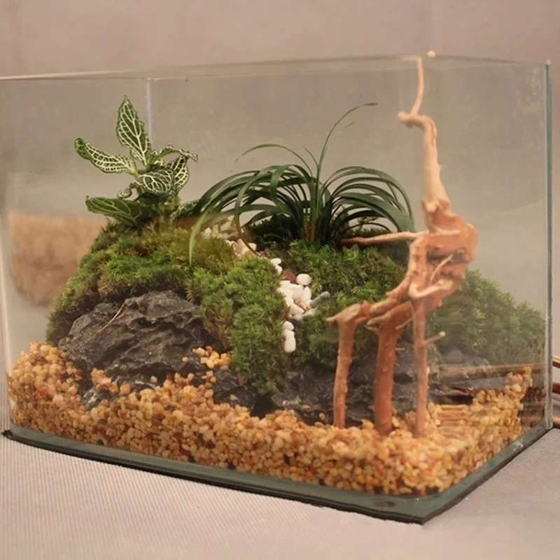 Natural Tree Trunk Driftwood A - Marine Aquarium Gravel review and price