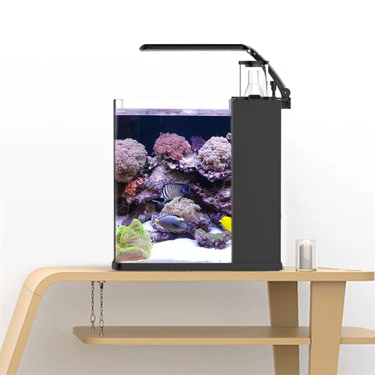 Latest Model Clear Glass Mini  - Marine Aquarium In Clearwater review and price