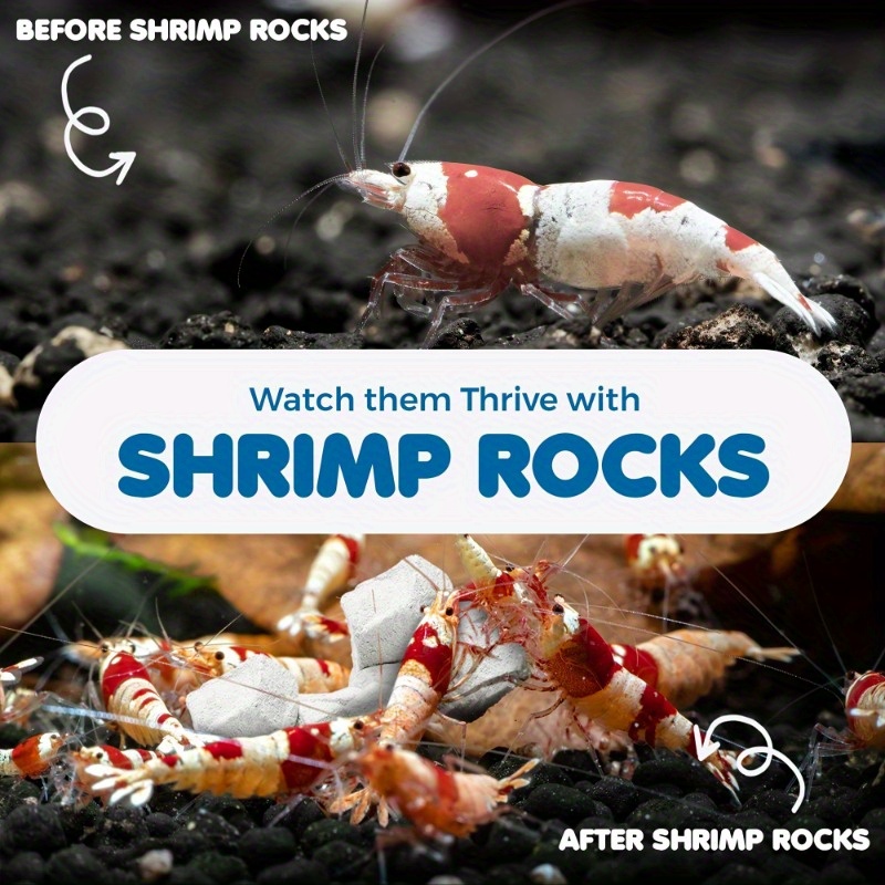 Grams of Shrimp Rock-Natural C - Marine Aquarium Gravel review and price