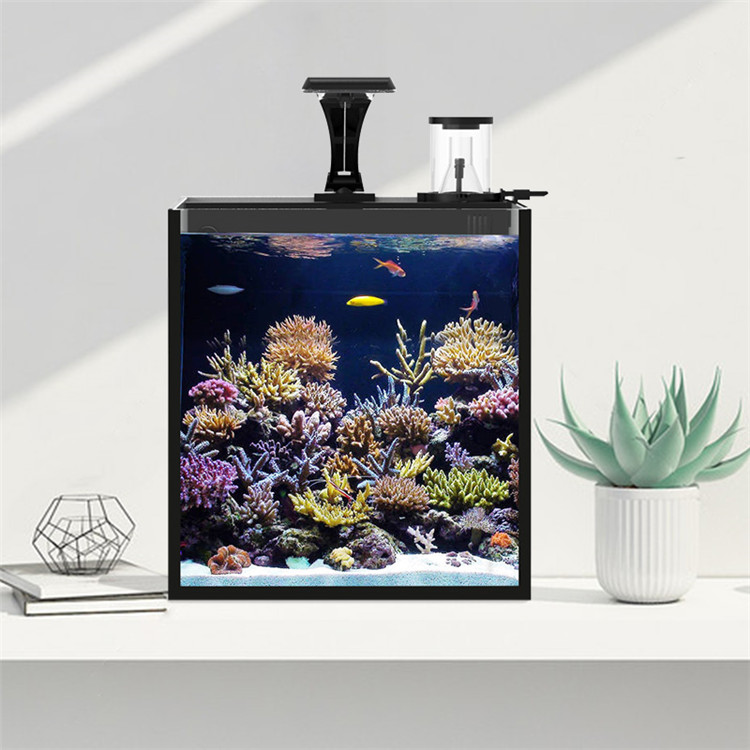 Skynuo Ultra Clear Glass Mini  - Marine Aquarium In Clearwater review and price