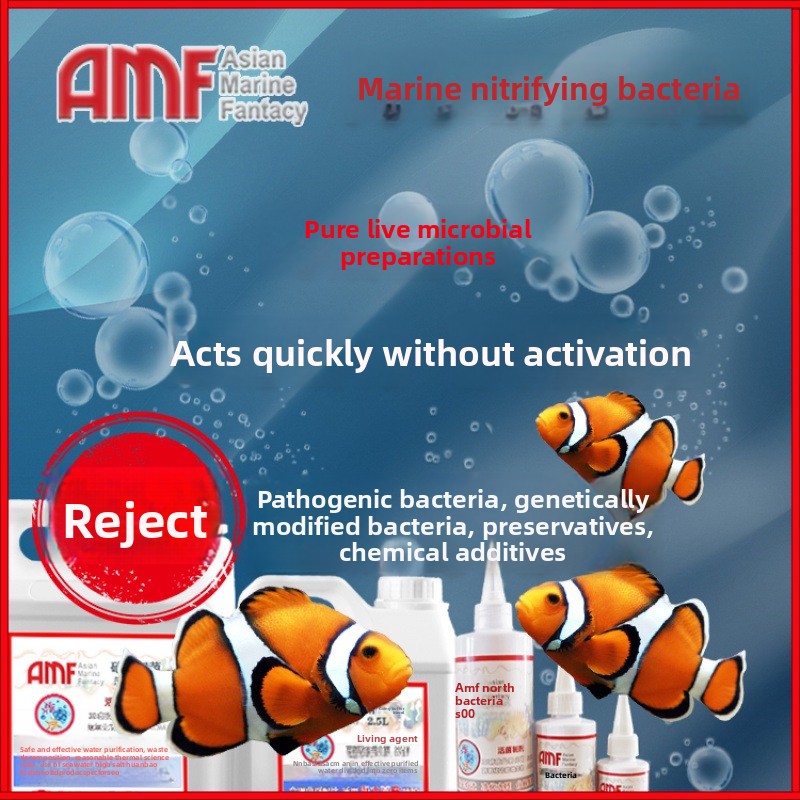 AMF Nitrifying Bacteria Aquari - Marine Aquarium Bacteria review and price