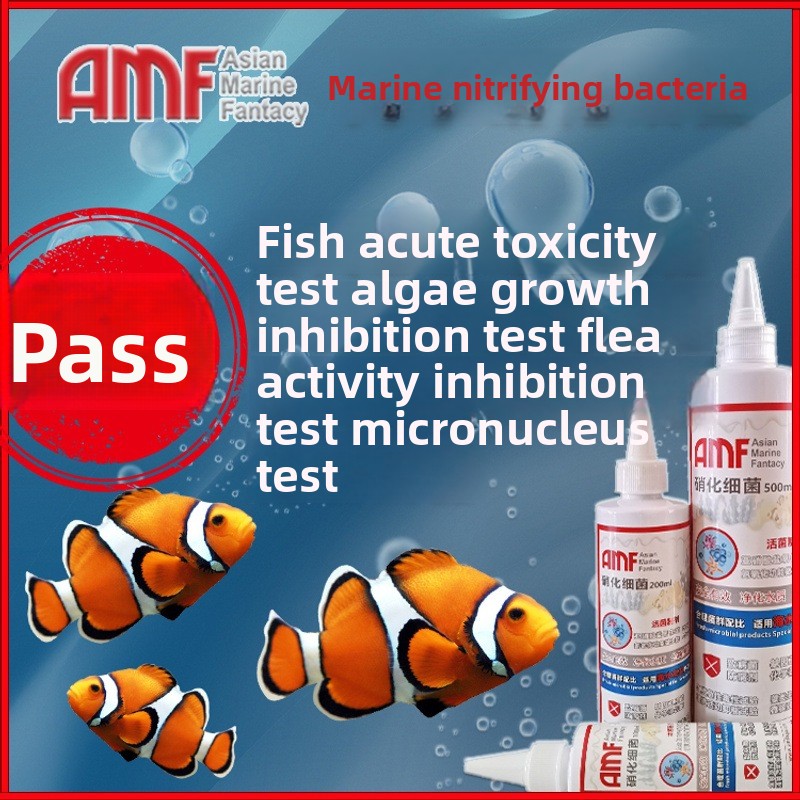 AMF Nitrifying Bacteria Aquari - Marine Aquarium Bacteria review and price