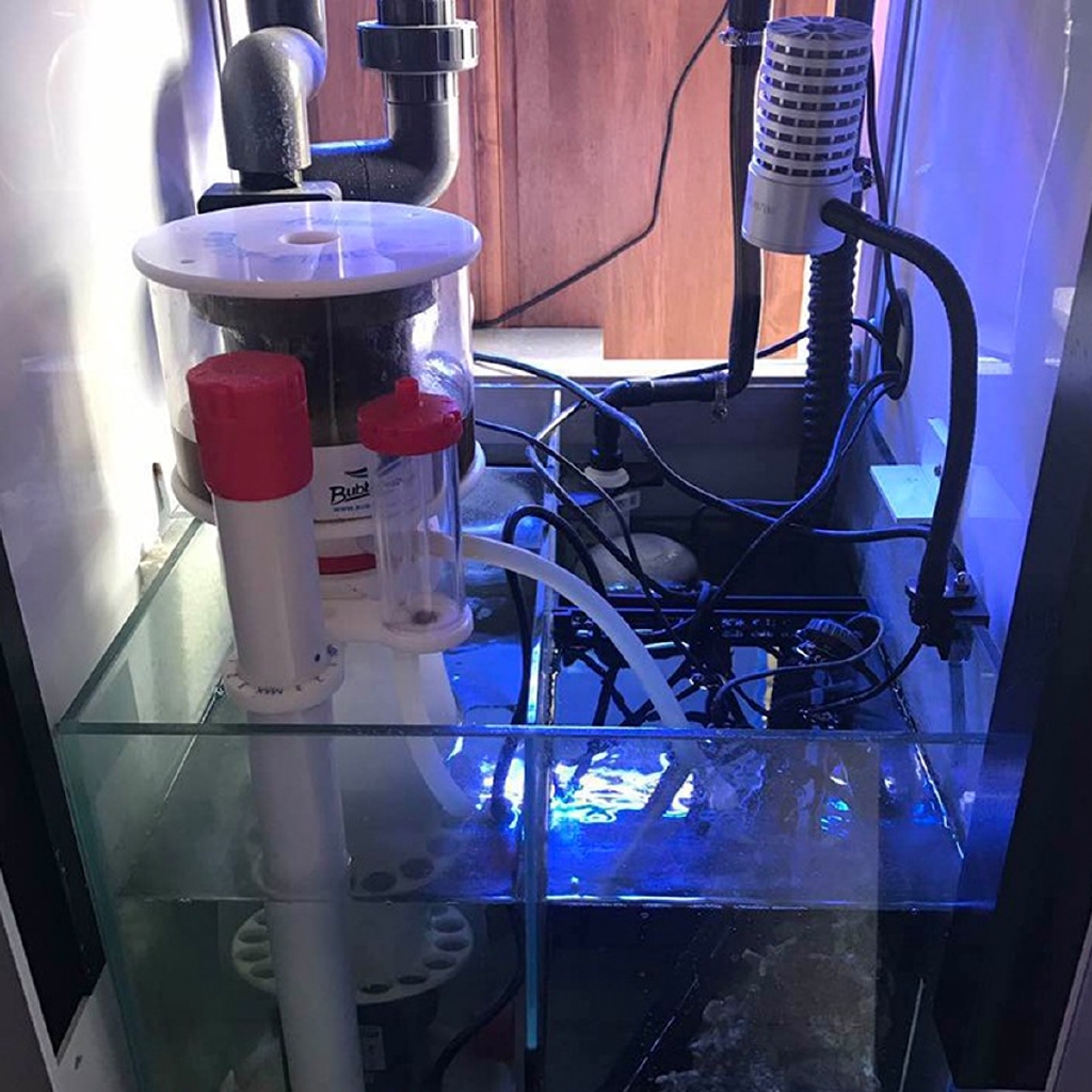 220V Bubble Magus Curve5 Aquar - Marine Aquarium Protein Skimmer review and price