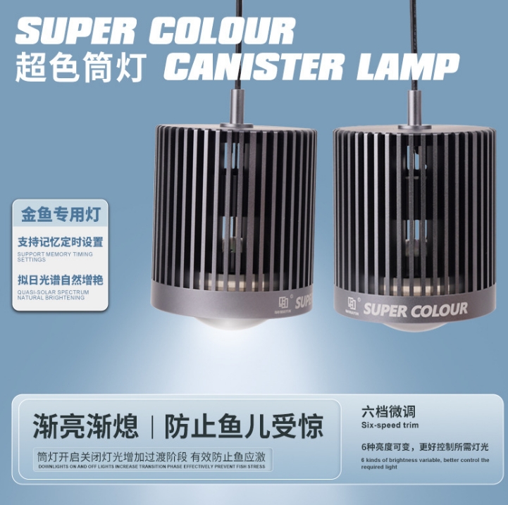 LED Super Color 3D Hot Sale Fi - Aquarium Marine Fish For Sale review and price