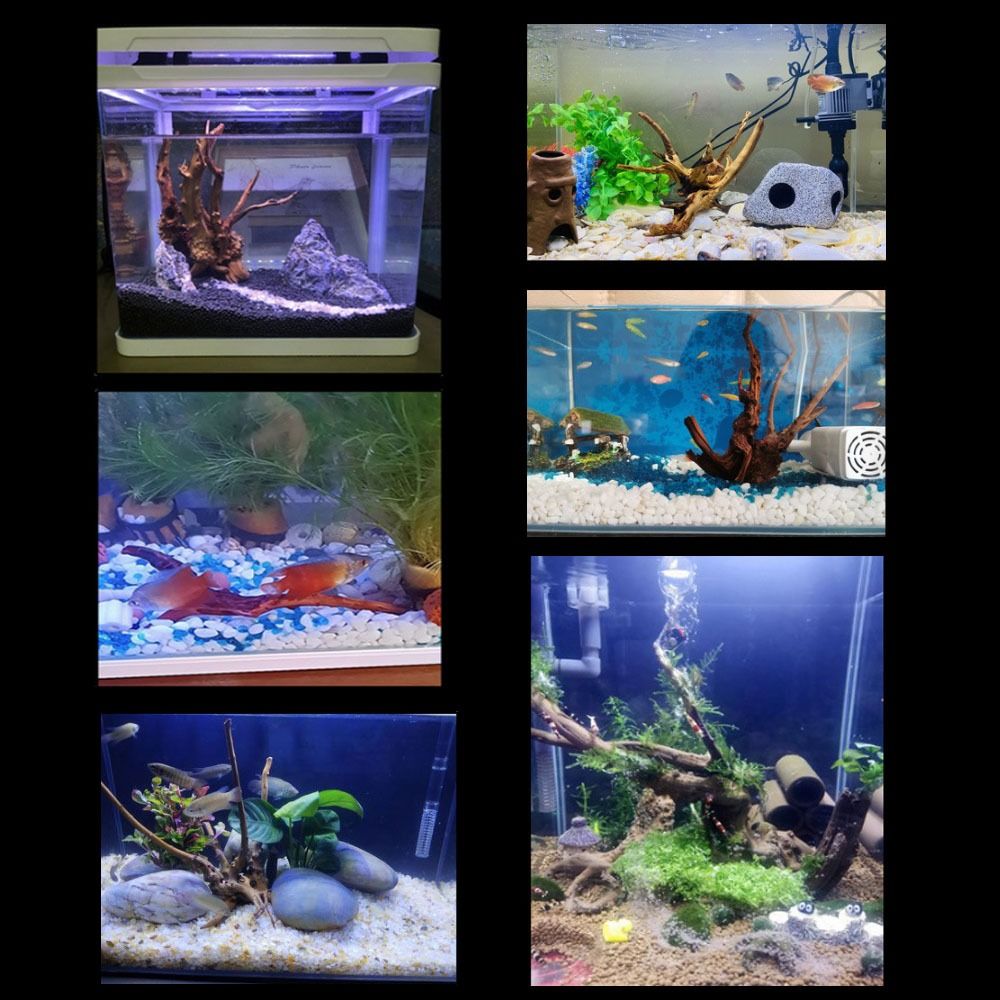 Large Aquarium Driftwood Natur - Marine Aquarium Gravel review and price