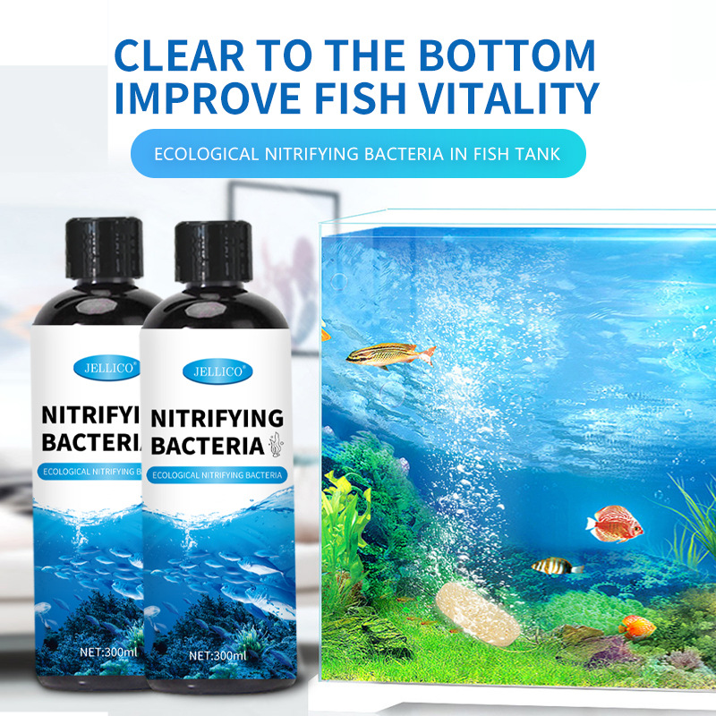 300ml Nitrifying Bacteria Aqua - Marine Aquarium In Clearwater review and price