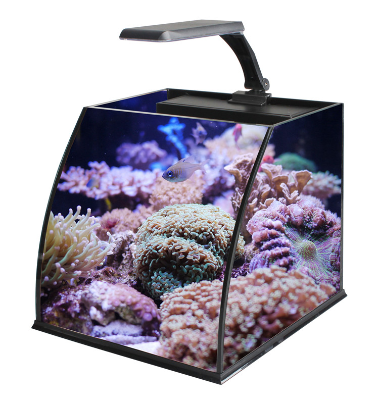 Ultra Clear Glass Mini Salt Wa - Marine Aquarium In Clearwater review and price