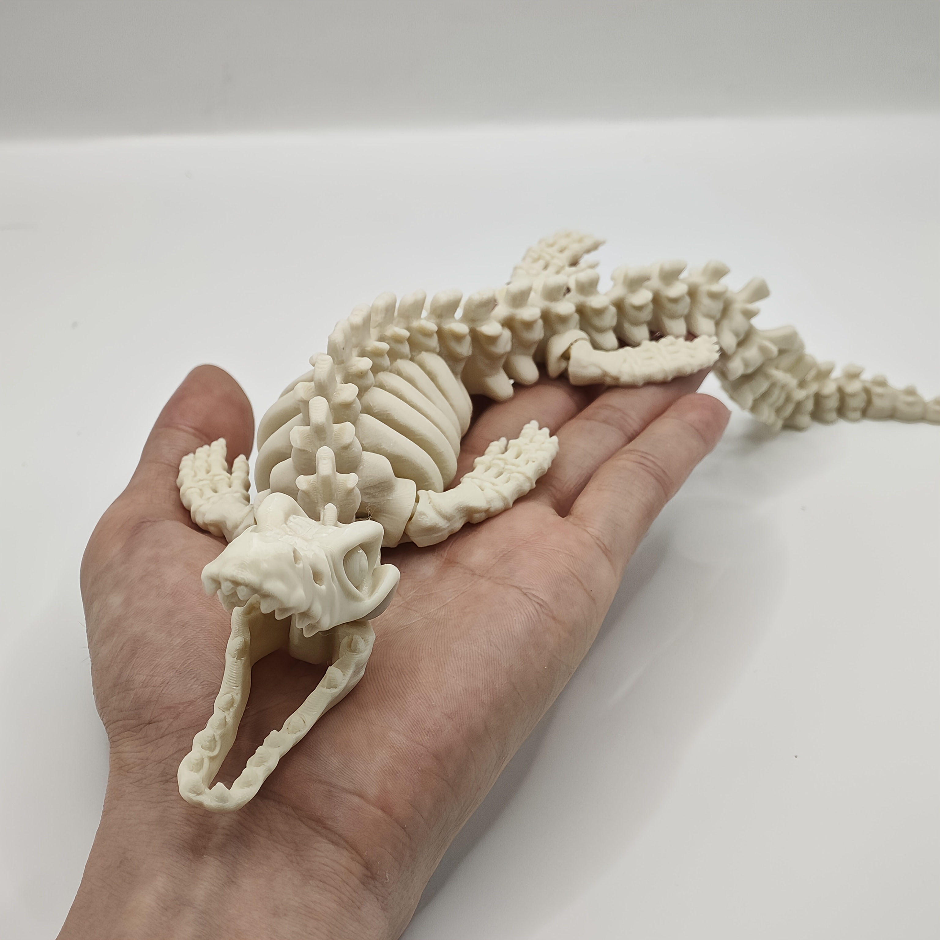 1pc Realistic mosasaur skeleto - Marine Aquarium Gravel review and price