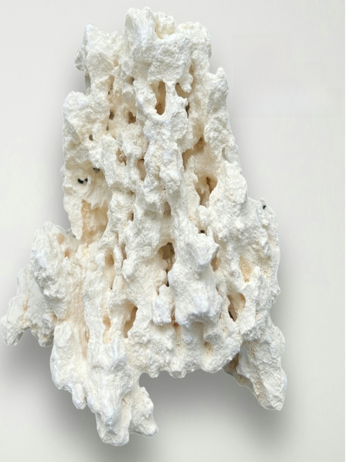Kilago Dry Rock Natural Coral  - Marine Aquarium Bacteria review and price