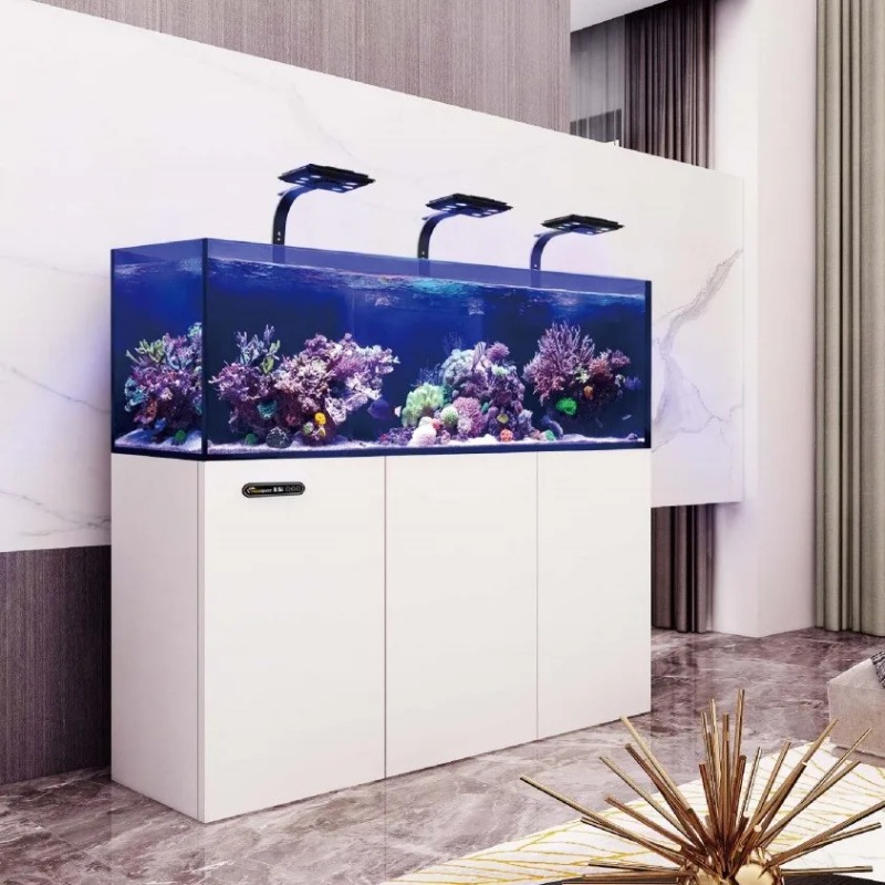 Custom Ultra Clear Glass Large - Marine Aquarium In Clearwater review and price
