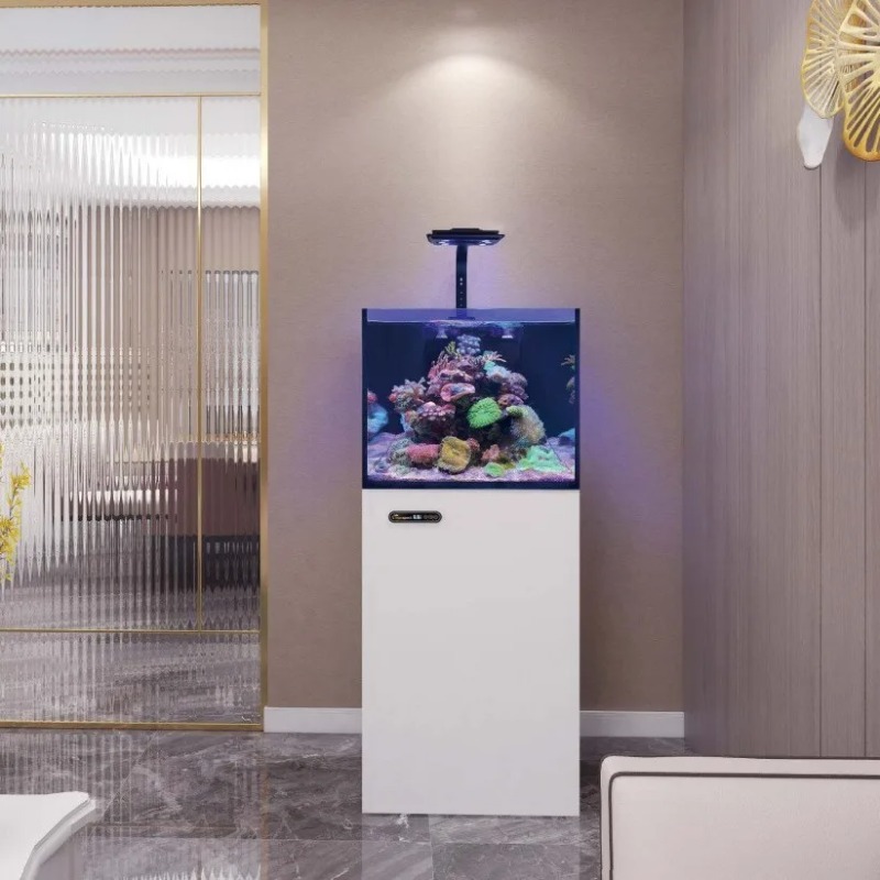 Custom Ultra Clear Glass Large - Marine Aquarium In Clearwater review and price