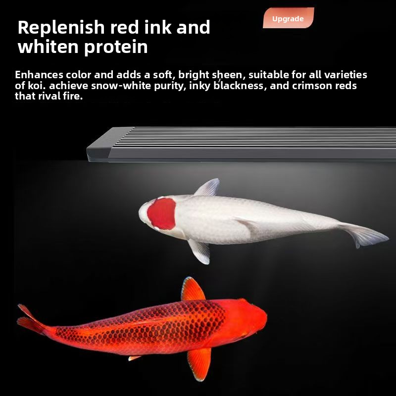 LED Aquarium Light for Fish Ta - Marine Aquarium In Clearwater review and price