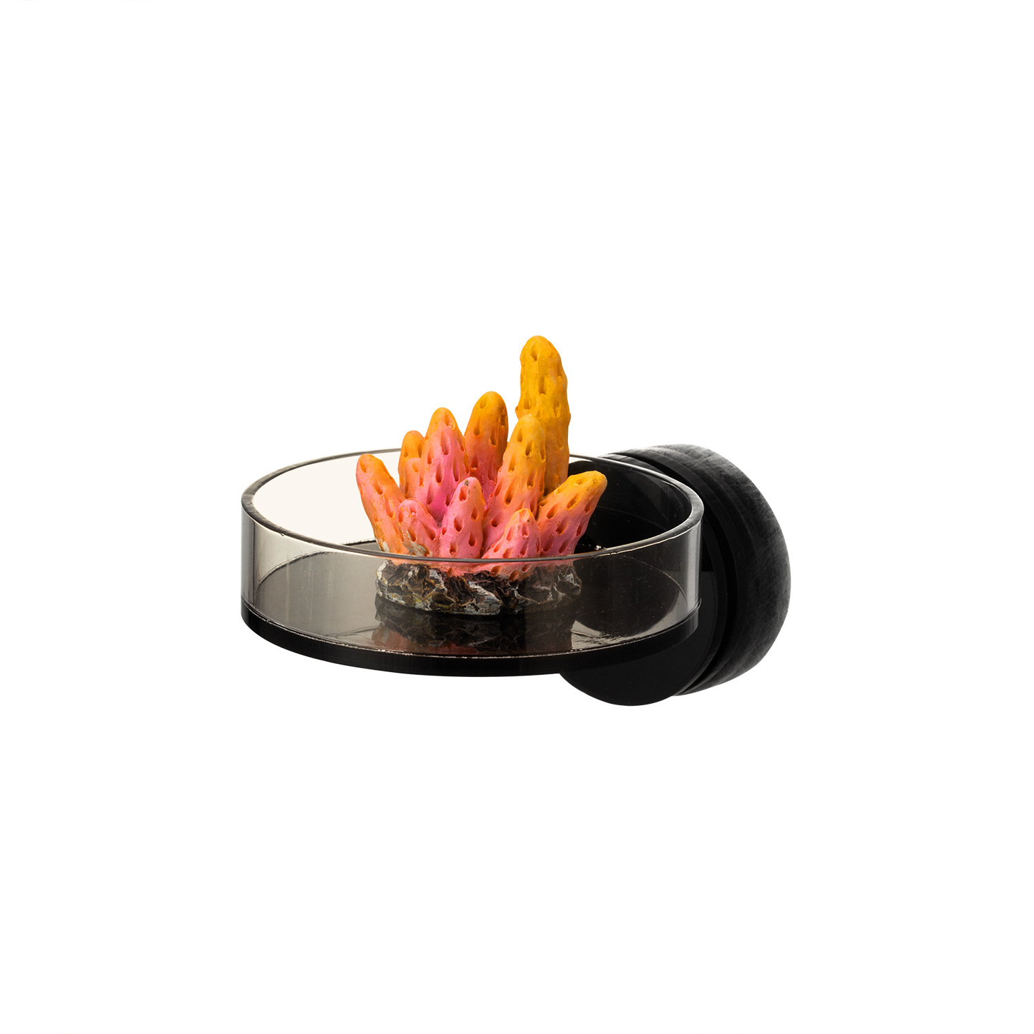 Marine Sources 70mm Black Magn - Aquarium Marine review and price