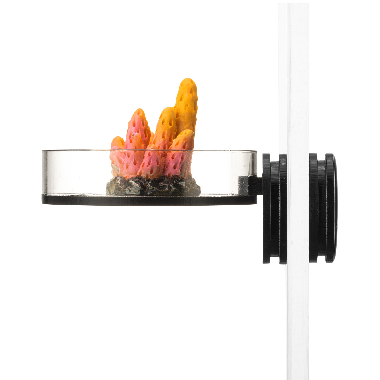 Marine Sources 70mm Black Magn - Aquarium Marine review and price