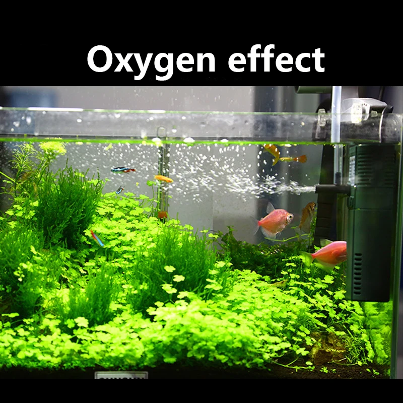 SUNSUN mini nano 111B 311B 611 - Marine Aquarium Uv Sterilizer review and price