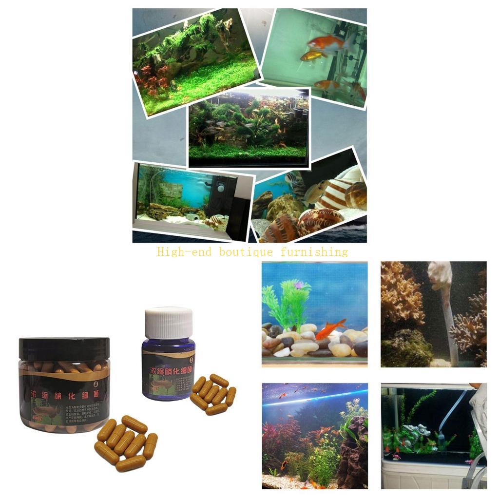 L9NB Aquarium Nitrifying Super - Marine Aquarium Bacteria review and price