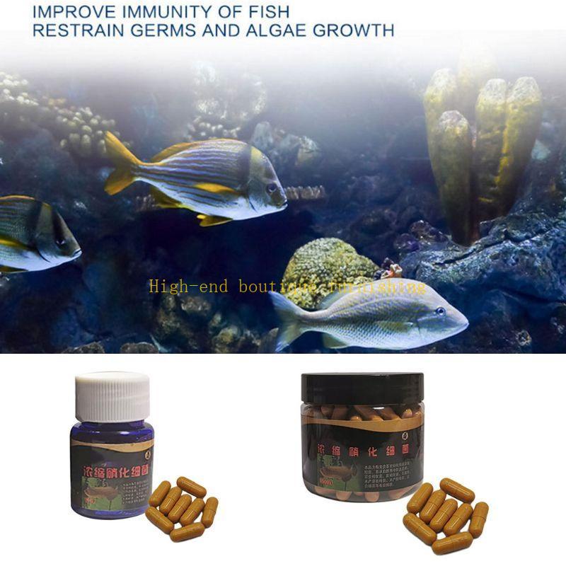 L9NB Aquarium Nitrifying Super - Marine Aquarium Bacteria review and price
